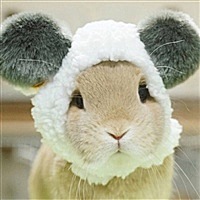 Me的小六月