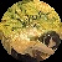 复合