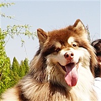 夕