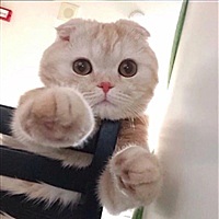 恒