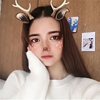 柠檬树。