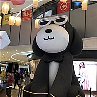 飞来的星星