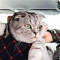 我叫石榴