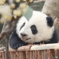 粑粑麻麻等你来