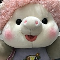 徐佩琪