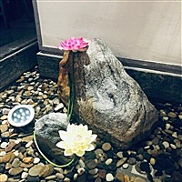 路子