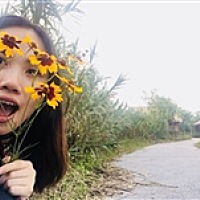小森林