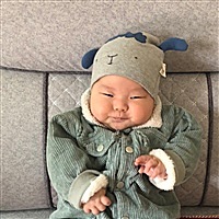 双眼皮的猫