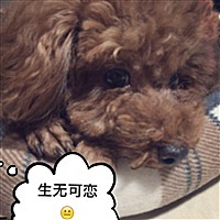 天使妈妈