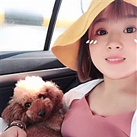 你是我的掌上明猪呦～