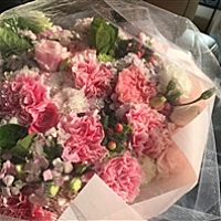 之北 🌸