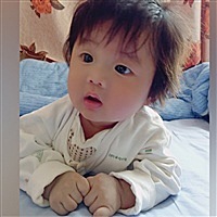 小诚诚