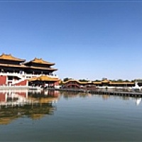 沉默中绚丽绽放