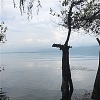 安好。。