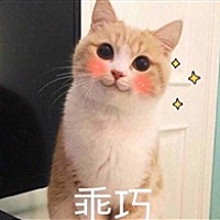 橙子橙子大橙子