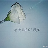 鱼儿