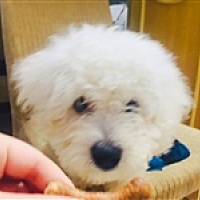 木子李👈