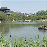 小李滴啊