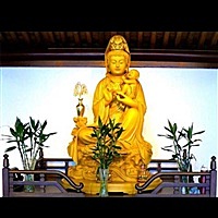宝贝快来希望十月能中