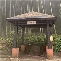 诚接健康宝宝