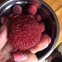 粉色恋.