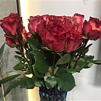 备孕妈妈