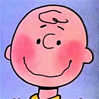 平安健康猪猪宝贝