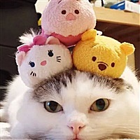 ___小丸子