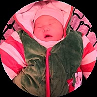 犀利毒舌（若嫌弃我，伊嫌弃你）