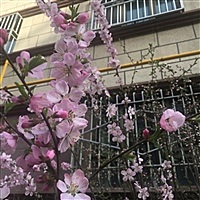 A杰安消防安防