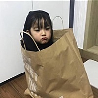 想要个猪