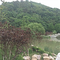 瑄宝
