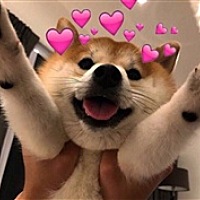 luckyt