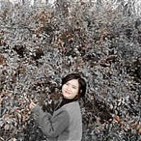 杭杭