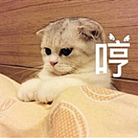 珂嗳哆