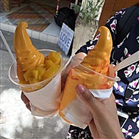 小报告
