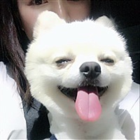 伊娃
