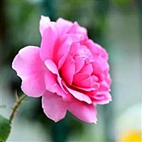 眼角宣泄悲伤