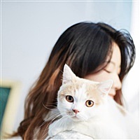 樱桃小丸子