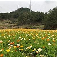 备孕期间