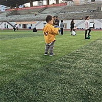 大眼睛小西西