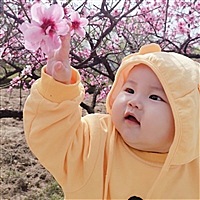 十八麻麻