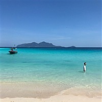游者