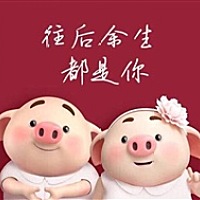 猪年大吉