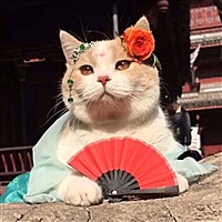 多年以后