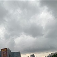 旋律🎶