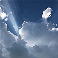 匪我思存[帖主]