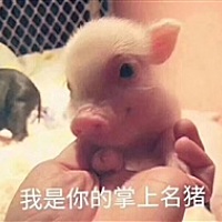 小猪仔的娘