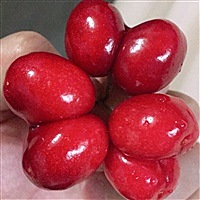 雯宝贝