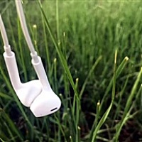 青柠」